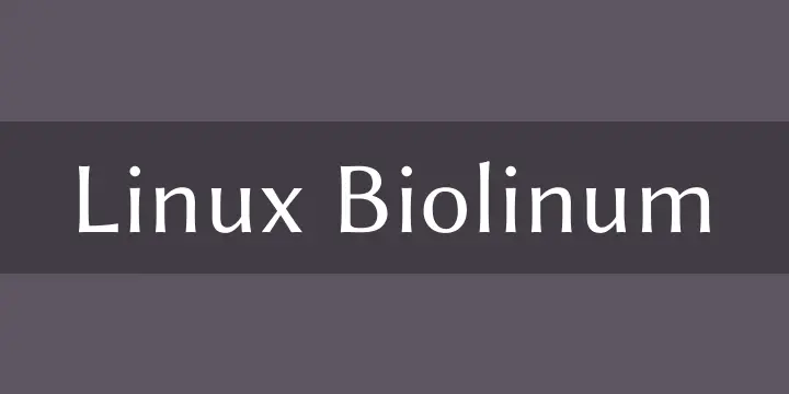 12 Font Estetik Canva yang Bikin Tampilan Desain Lebih Profesional 6 12 Font Estetik Canva Yang Bikin Tampilan Desain Lebih Profesional